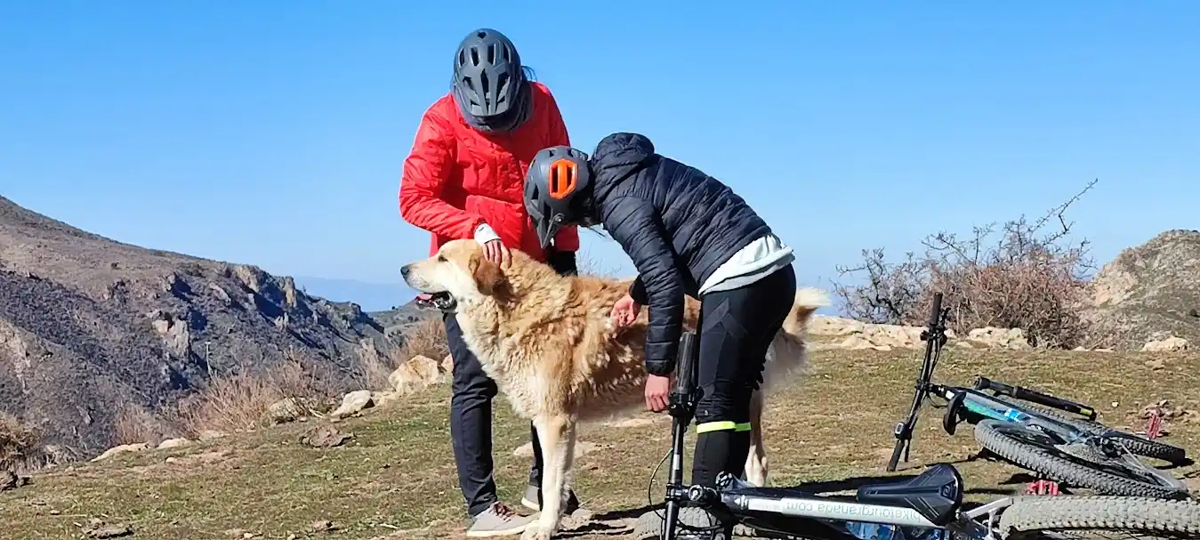 ciclista mirando la sierra con cicicleta a su lado