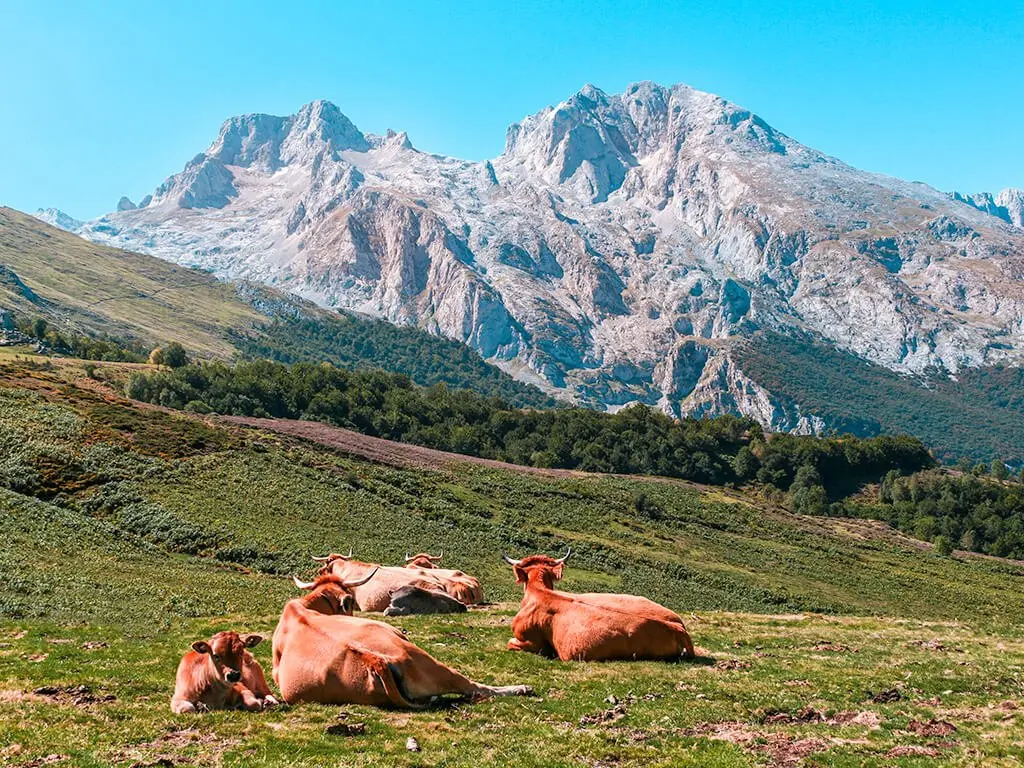 Picos de Europa