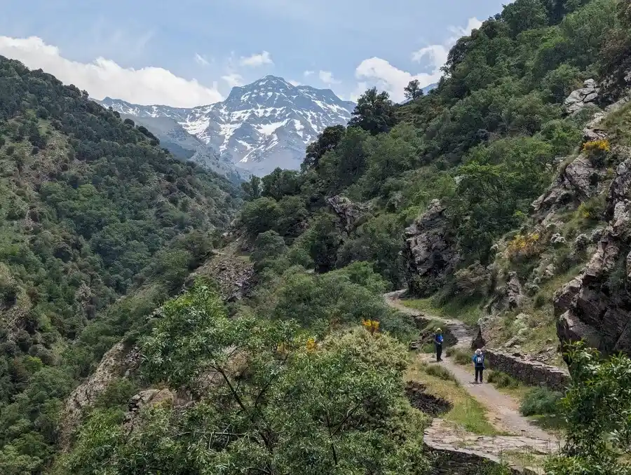 ciclista mirando la sierra con cicicleta a su lado