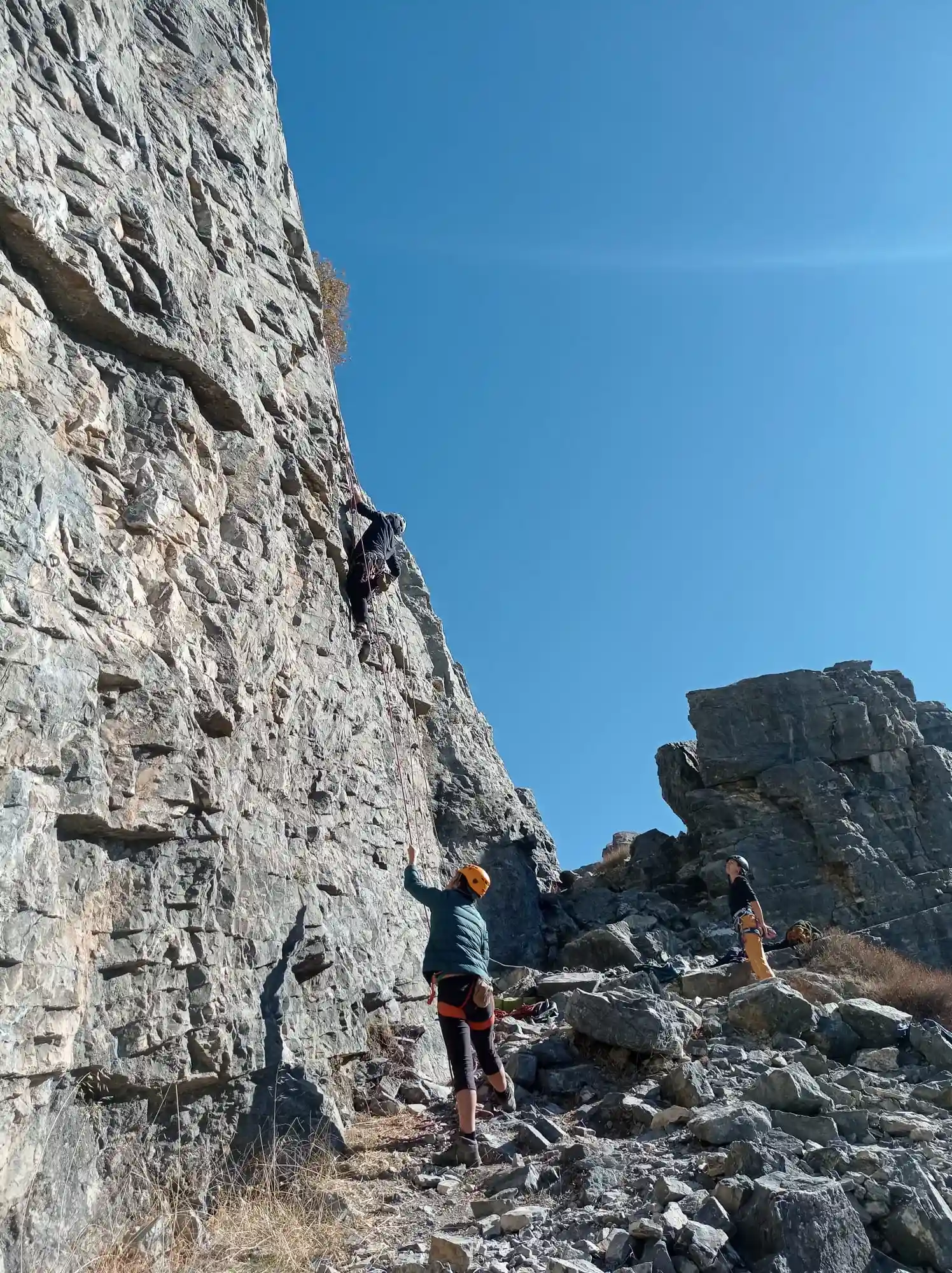 peples climging a rock with ropes